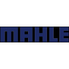 Mahle Original