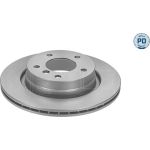 11 482 028PD Bremsscheibe HA Platinum | BMW E46 98 | 315 523 0059/PD