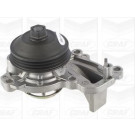 PA 1239 Wasserpumpe | CITROEN,PEUG 308 12 | PA1239