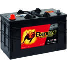 BANNER Buffalo Bull 12V | wartungsfrei nach DIN | 10610480101