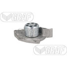 PA 1087 Wasserpumpe | RENAULT Megane,Laguna 05 | PA1087