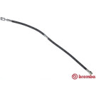 BREMBO Bremsschlauch | T 85 149