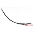 BREMBO Bremsschlauch | T 24 093