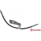 BREMBO Bremsschlauch | T 24 095