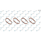 DR.MOTOR Dichtungssatz, Ansaugkrümmer DRM01340S