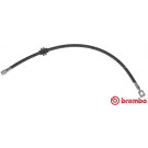 BREMBO Bremsschlauch | T 06 027