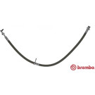 BREMBO Bremsschlauch | T 83 098