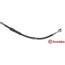 BREMBO Bremsschlauch | T 71 015