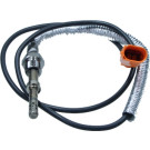 RTA9000-EE010 Sensor Abgastemp | VW Caddy III 04-10 | 94795