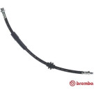 BREMBO Bremsschlauch | T 24 149