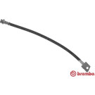 BREMBO Bremsschlauch | T 56 143