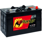 BANNER Buffalo Bull 12 V | wartungsfrei nach DIN | 10610470101