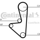 Zahnriemen | CT744