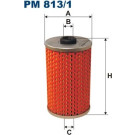 FILTRON Kraftstofffilter | PM813/1