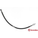 BREMBO Bremsschlauch | T 54 011