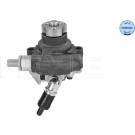 Servopumpe Ford Mondeo Iii (11/00-08/07) | 7146310009