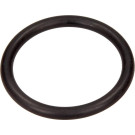 Drosselklappendichtung (Gross) Renault Clio (98-), Kangoo, Laguna I, Megane I, Modus, Scenic I, Thalia 1.4-2.0 | 8200068583