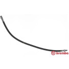 BREMBO Bremsschlauch | T 50 033