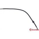 BREMBO Bremsschlauch | T 68 090