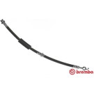 BREMBO Bremsschlauch | T 49 050