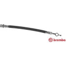 BREMBO Bremsschlauch | T 83 118