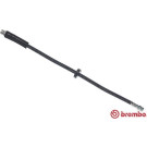 BREMBO Bremsschlauch | T 23 049