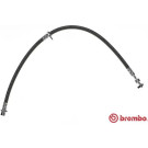 BREMBO Bremsschlauch | T 83 099