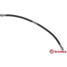 BREMBO Bremsschlauch | T 54 045