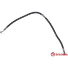 BREMBO Bremsschlauch | T 56 180