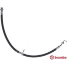 BREMBO Bremsschlauch | T 59 084