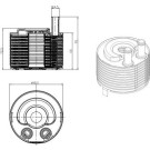 Ölkühler, Motor“L | 31819