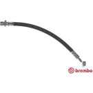 BREMBO Bremsschlauch | T 83 094