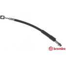 BREMBO Bremsschlauch | T 59 077