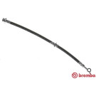 BREMBO Bremsschlauch | T 56 149