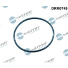 DR.MOTOR Dichtung, Ansaugkrümmer DRM0749