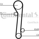 Zahnriemen | CT781