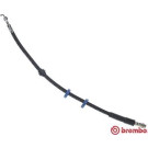 BREMBO Bremsschlauch | T 61 128