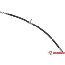 BREMBO Bremsschlauch | T 11 013