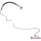 BREMBO Bremsschlauch | T 85 115