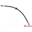 BREMBO Bremsschlauch | T 06 028