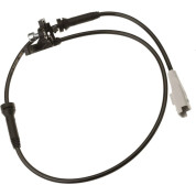 GBS1319 Sensor, Raddrehzahl HA | PEUGEOT 307 00