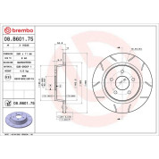 Bremsscheibe HA Brembo Max | FORD C-Max,Kuga,Tourneo 10 | 08.B601.75