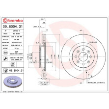 40 481 052 Bremsscheibe VA | FIAT Grande Punto nur 1.4 Abarth 07 | 09.8004.31