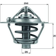 Thermostateinsatz mit Dichtung | FORD,VOLVO,MAZ,VOLVo 1.25-1.6i 03 | TX 108 82D