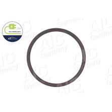 Sensorring ABS | BMW | 55331