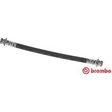 BREMBO Bremsschlauch | T 10 002