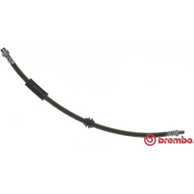 BREMBO Bremsschlauch | T 06 038