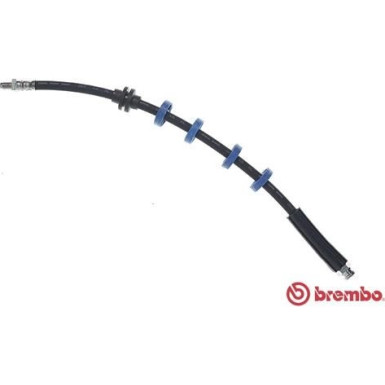 BREMBO Bremsschlauch | T 23 040