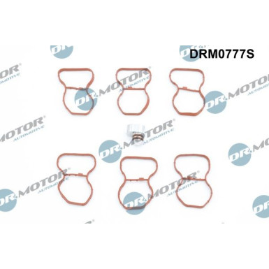 DR.MOTOR Dichtungssatz, Ansaugkrümmer DRM0777S