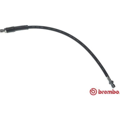 BREMBO Bremsschlauch | T 50 019